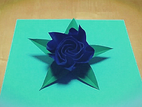 手工折纸卷心玫瑰花的折纸图解教程教你制作可爱的折纸卷心玫瑰