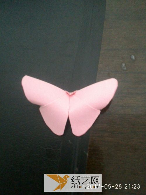 进化版的蝴蝶。 第12步