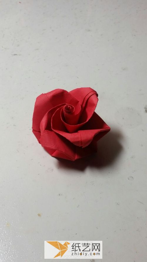 简单的玫瑰 第26步