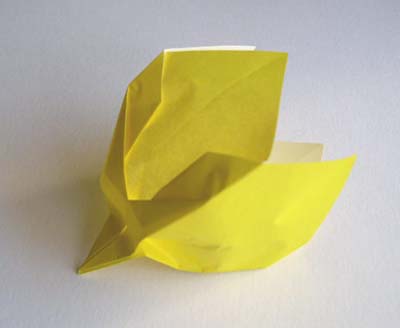简单的折纸郁金香折纸教程一步一步教你制作折纸郁金香