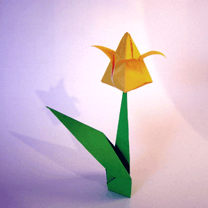 简单且具立体感的折纸郁金香折纸教程手把手教你制作折纸郁金香