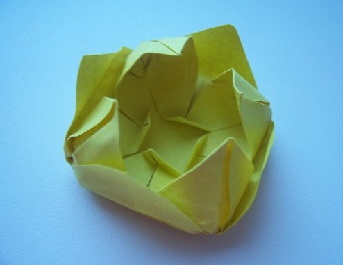 折纸莲花的模型已经基本上有一个雏形了