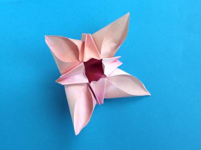 粉色简单折纸小花制作教程完成后精美的效果图