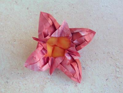简易折纸小花制作教程完成后精美的效果图