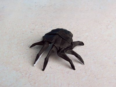 简单折纸蜘蛛折纸图解教程手把手教你制作简单的折纸蜘蛛