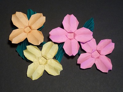 折纸山茱萸花的手工折纸图解教程手把手教你制作纸艺山茱萸折纸花