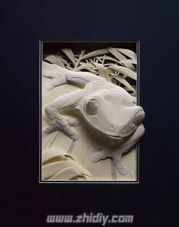 Calvin Nicholls的野生动物纸雕塑