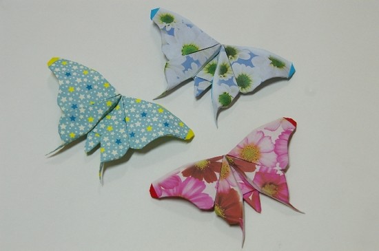 折纸蝴蝶教程制作出来的漂亮折纸蝴蝶简直可以以假乱真