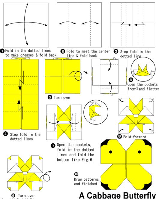 简单儿童折纸菜粉蝶手工折纸教程