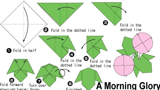 牵牛花儿童手工简单折纸教程
