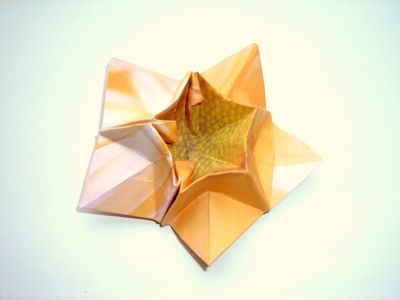 五角星纸折花手工折纸图解教程完成后精美的效果图