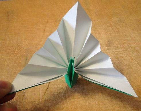 手工折纸孔雀教程—简单折纸大全图解教程完成后精美的效果图