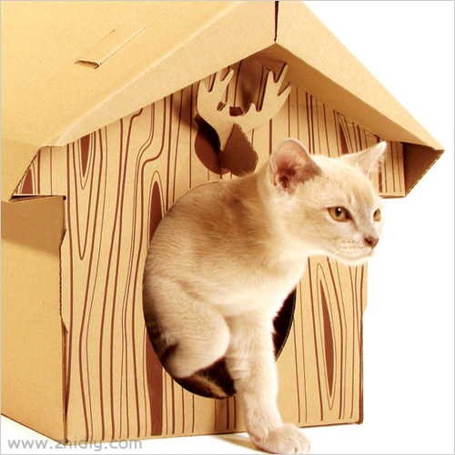 纸板做的猫的小屋