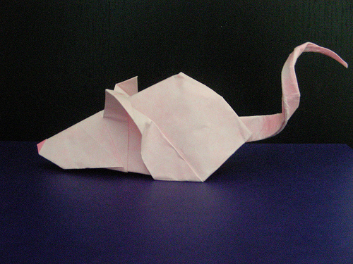 趣味折纸小老鼠折纸图谱教程—Rikki Donachie