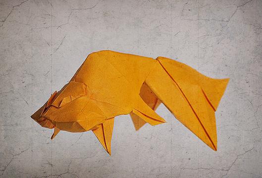 水泡金鱼手工折纸图谱教程—Ronald Koh