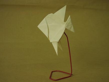 折纸大全图解之神仙鱼diy实拍折纸教程完成后精美的效果图