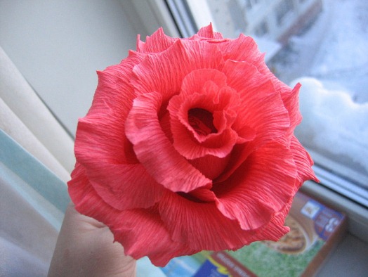 从顶部看上去的皱纹纸纸玫瑰看起来非常的逼真，尤其是在皱纹纸纸玫瑰的花瓣方面，做的非常的到位