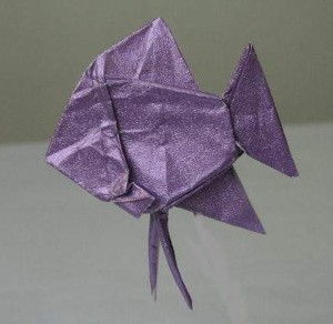 最终完成整形的手工折纸神仙鱼还是非常漂亮的，至少很像是一个神仙鱼，谁又能看出来这是用折纸制作的神仙鱼呢