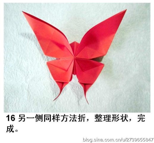 这里制作出来的实际上是一个用折纸蝴蝶方法制作的折纸凤蝶