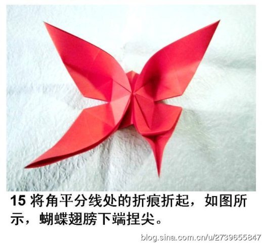完成了折纸蝴蝶的折纸制作之后看到的折纸蝴蝶样式