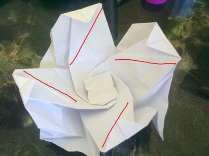 从这样的折纸玫瑰构型来看折痕的重要性在于其可以将折纸模型进行不同层面的折叠