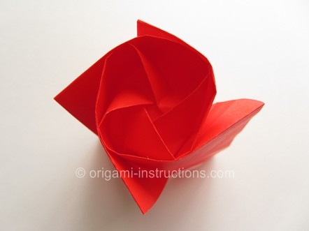 纸玫瑰折法教程的关注度和分享度一直都高居不下