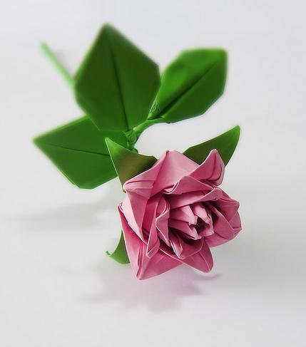 经典卷心纸玫瑰的折法图解教程手把手教学习卷心折纸玫瑰