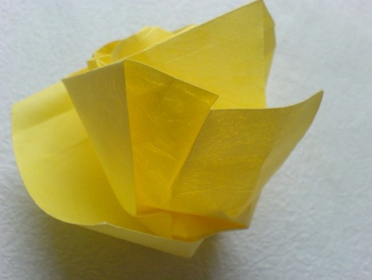 纸艺网将无格PT折纸玫瑰收集到了50种纸玫瑰的折法大全中来