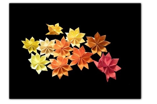 八瓣折纸花的折纸图解教程手把手教你制作折纸八瓣花