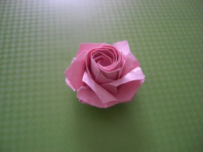 完成折叠制作之后的折纸川崎玫瑰花样式就是如图所示的样式了