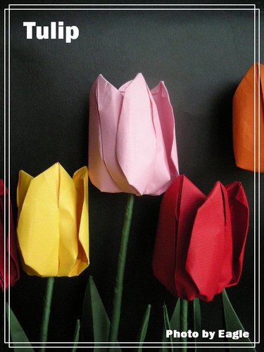 折纸郁金香的手工折法教程手把手教你制作精致的折纸郁金香花