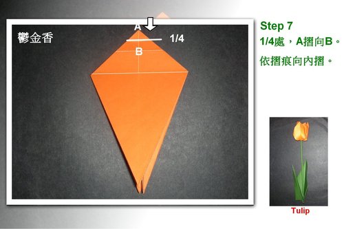 折纸图解的方式能够一步步的解释和说明清楚一些经典的步骤如何折叠
