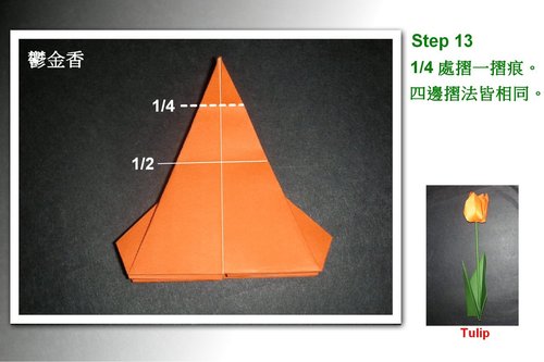 学习折纸郁金香的制作是每个学习折纸花同学希望达到的一种效果