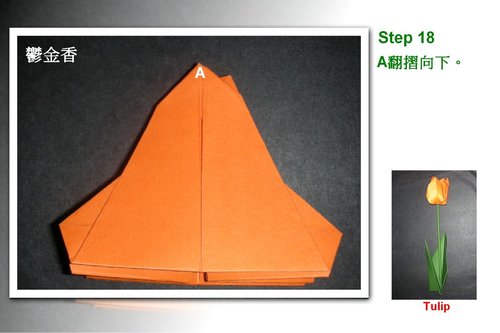 现在开始学习这个漂亮的折纸郁金香的基本折纸构型吧