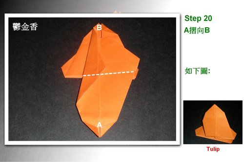折纸图解教程可以一步一步的教你学习一些复杂的折纸花制作教程