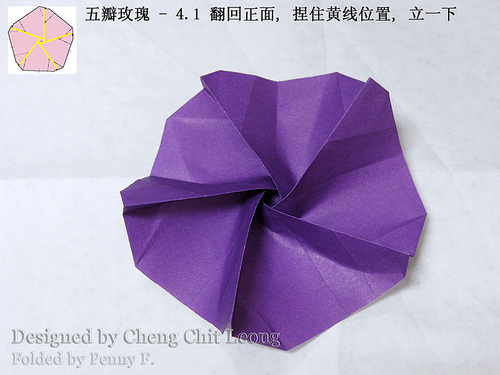 在完成了折痕的折叠之后折纸玫瑰花可以轻松的通过一个卷折的方式完成制作