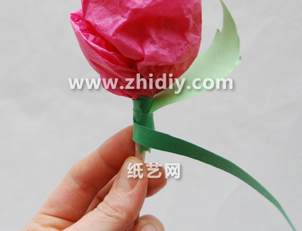 最终制作出来的棉纸玫瑰花看起来非常的漂亮同时具有艺术美感