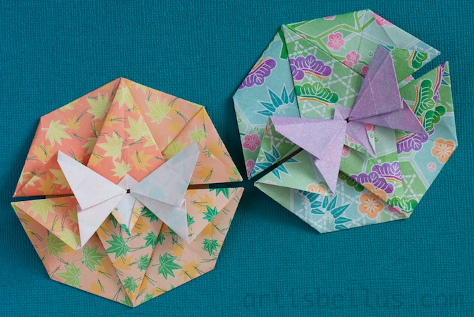 圆盘折纸蝴蝶的手工折纸教程手把手教你制作一个漂亮的折纸蝴蝶装饰
