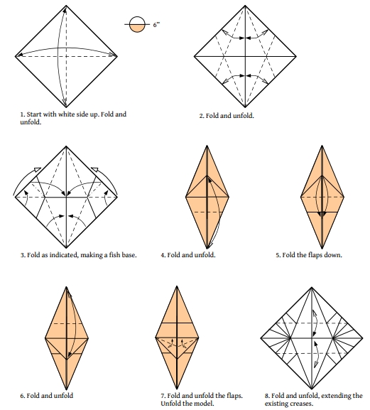 折纸图纸一步一步的教你制作漂亮的折纸蝴蝶