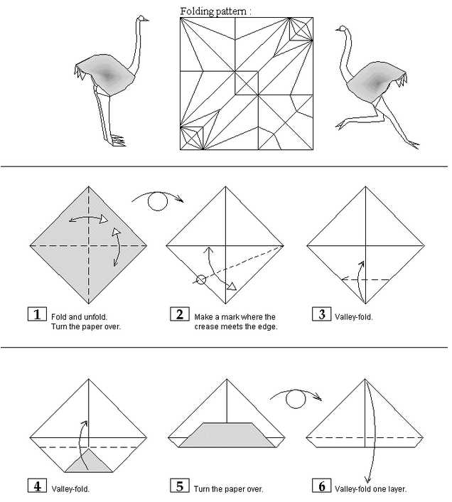折纸鸵鸟的图纸教程手把手的将折纸鸵鸟的制作方法告诉你