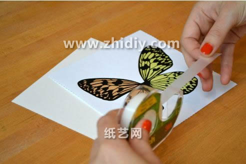学习制作立体纸雕蝴蝶壁饰教程可以帮助你完成漂亮的纸雕壁饰蝴蝶