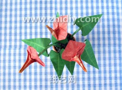 红掌折纸花从美感上来讲基本上和折纸玫瑰的效果都是类似的