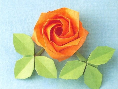 折纸蔷薇折纸花制作图解教程手把手教你制作折纸蔷薇花