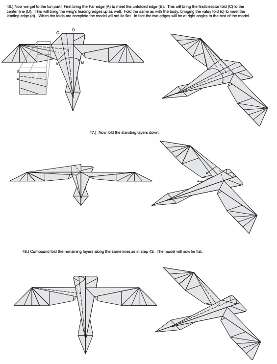 折纸飞龙的折法图解教程帮助我们掌握基本的折纸飞龙制作