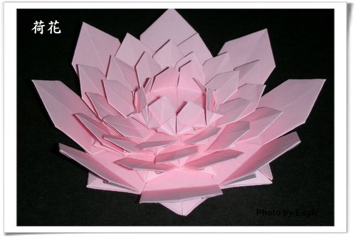 折纸荷花的手工折纸图解教程手把手教你制作精美的折纸荷花