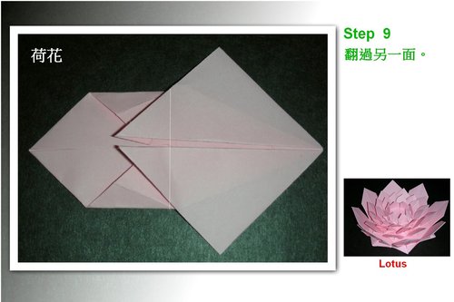 折纸大全图解教程收录了大家非常喜欢的组合折纸荷花