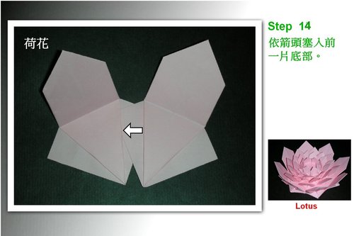 折纸荷花通过使用组合折纸的方式直接将整个制作简化了
