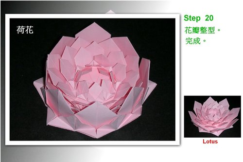 完美的折纸花通过不同的花瓣样式来进行组合形成漂亮的折纸荷花