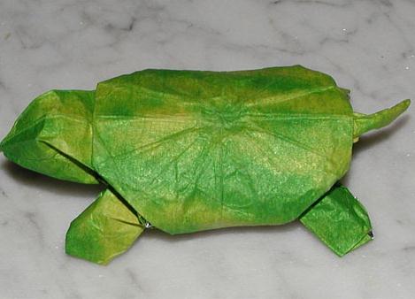 仿真折纸乌龟的折纸图解教程手把手教你制作构型真实的折纸乌龟