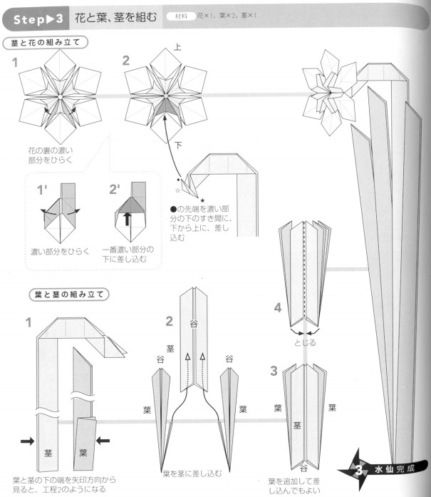 手工折纸水仙花的基本折法图解教程告诉你如何制作出真实感很强的水仙花来